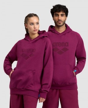 Arena Logo Hooded Sweatshirt Multicolor | YOQDTVI-91