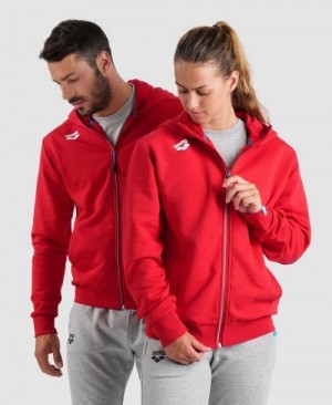 Arena Team Hooded Jacket Panel Red | PIMYUBW-64