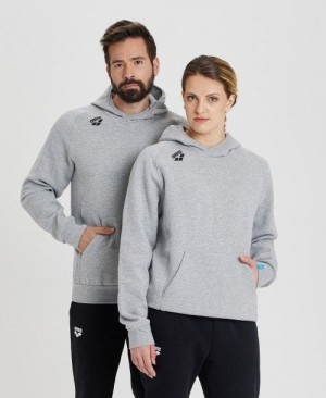 Arena Team Hooded Sweatshirt Panel Grey | QNGTBZK-15