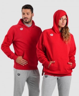 Arena Team Hooded Sweatshirt Panel Red | ZFKJPAT-34