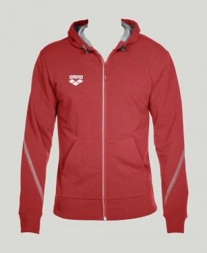 Arena Team Line Hooded Jacket Red | TRGQWPC-96