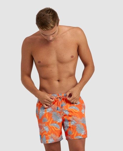 Arena Allover Beach Boxer Grey Multicolor | YRNXWZO-68