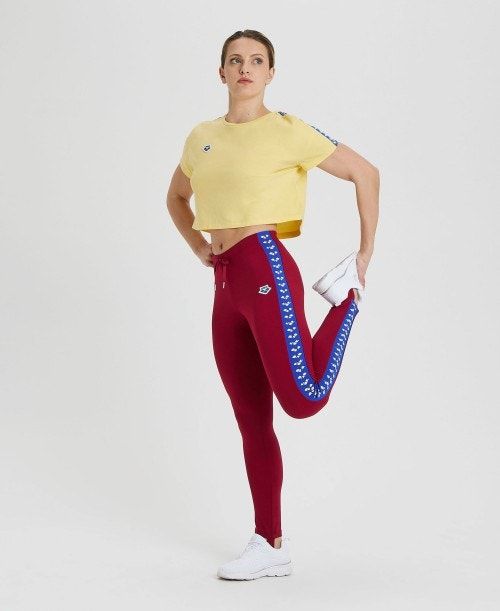 Arena Caroline Team Pant Burgundy / Blue | WATOERN-32