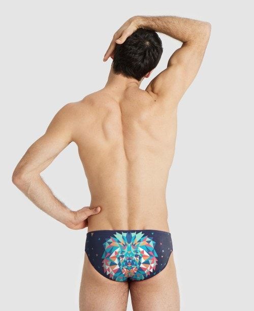 Arena Drew Kibler Collection Brief Multicolor | PIWLKZJ-31