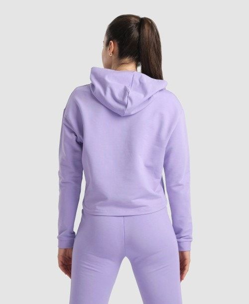 Arena Hooded Fleece Sweatshirt Multicolor | VHPXJCL-79