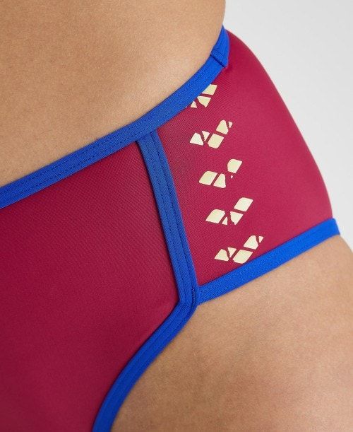 Arena Icons Logo Bikini Burgundy / Blue | UKEMVXJ-28