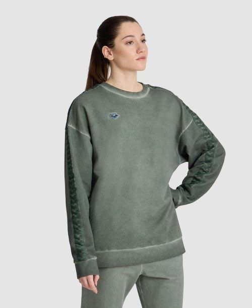 Arena Icons Oversize Sweatshirt Multicolor | UMPJBHE-42