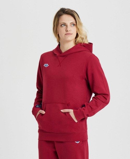 Arena Icons Solid Hooded Sweatshirt Burgundy / Blue | ROHJISB-28