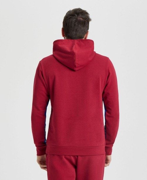 Arena Icons Solid Hooded Sweatshirt Burgundy / Blue | ROHJISB-28