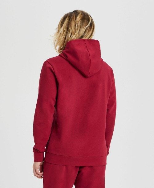 Arena Icons Solid Hooded Sweatshirt Burgundy / Blue | ROHJISB-28