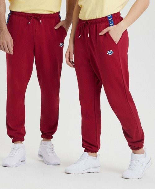 Arena Icons Solid Pant Burgundy / Blue | KYLICNO-18