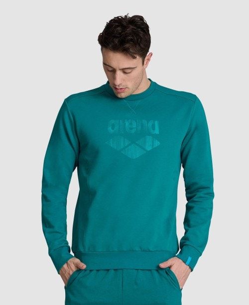 Arena Logo Crewneck Green | ZEOJGKU-20