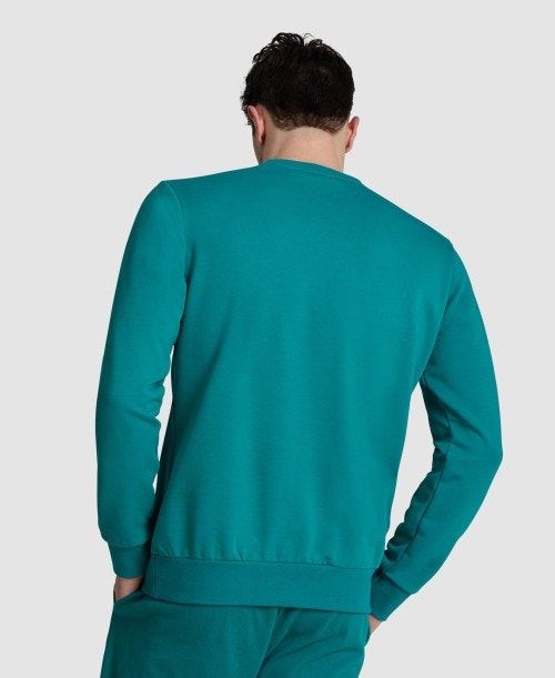 Arena Logo Crewneck Green | ZEOJGKU-20