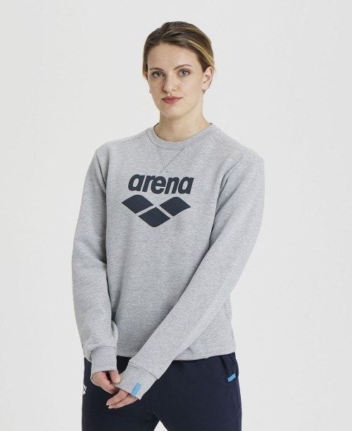 Arena Logo Crewneck Grey | SVJYAEP-79