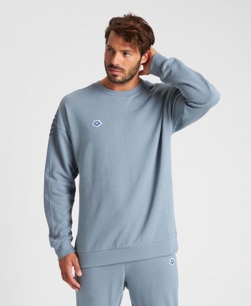 Arena Oversized Team Sweatshirt Grey / Grey | PASZCKX-05