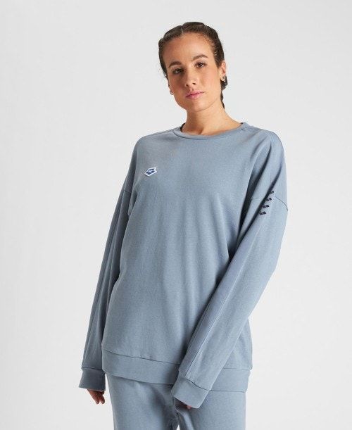 Arena Oversized Team Sweatshirt Grey / Grey | PASZCKX-05