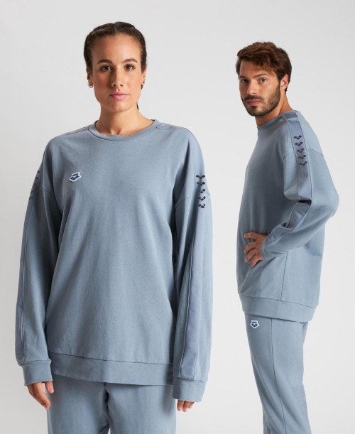 Arena Oversized Team Sweatshirt Grey / Grey | PASZCKX-05