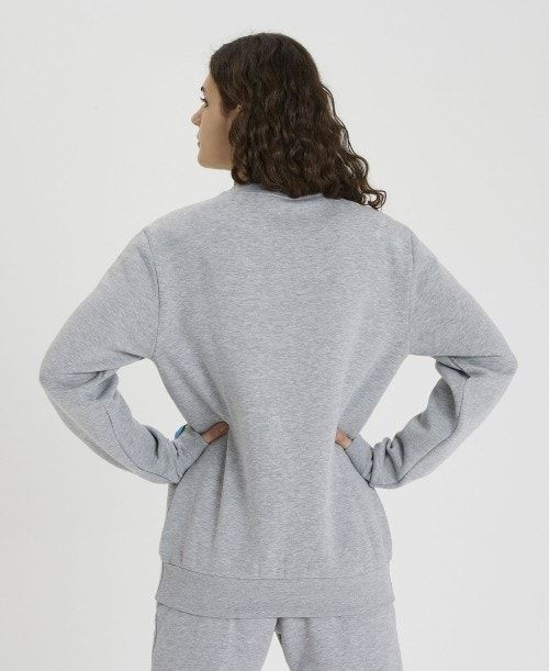 Arena Solid Crewneck Grey | AVSCPNT-37