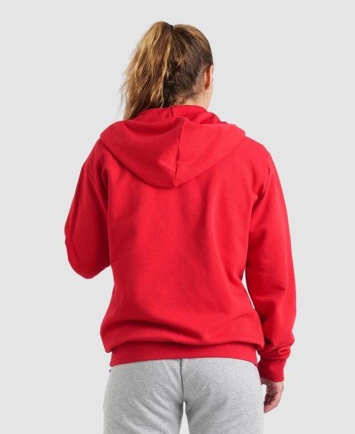 Arena Team Hooded Jacket Panel Red | PIMYUBW-64