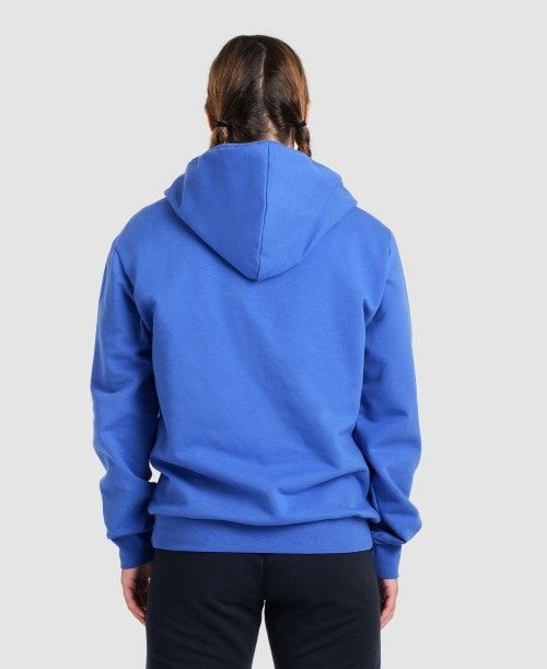 Arena Team Hooded Jacket Panel Royal | FVATQJC-04