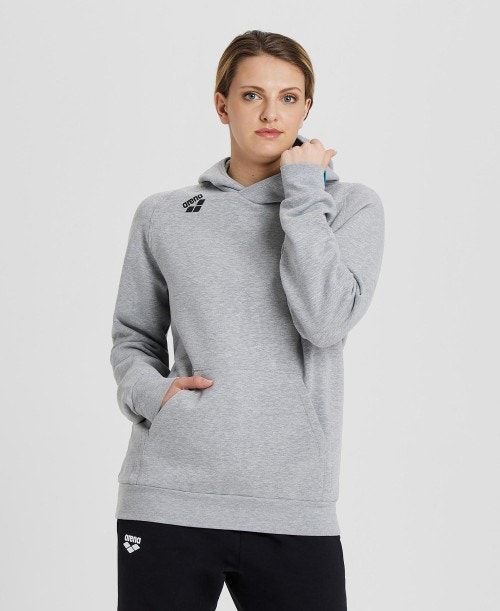 Arena Team Hooded Sweatshirt Panel Grey | QNGTBZK-15