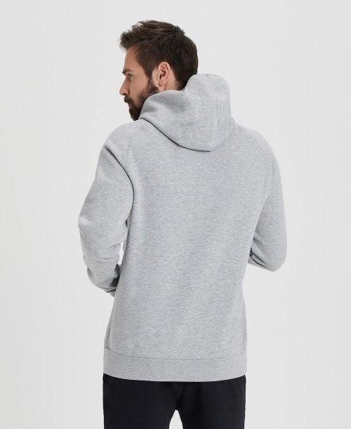 Arena Team Hooded Sweatshirt Panel Grey | QNGTBZK-15