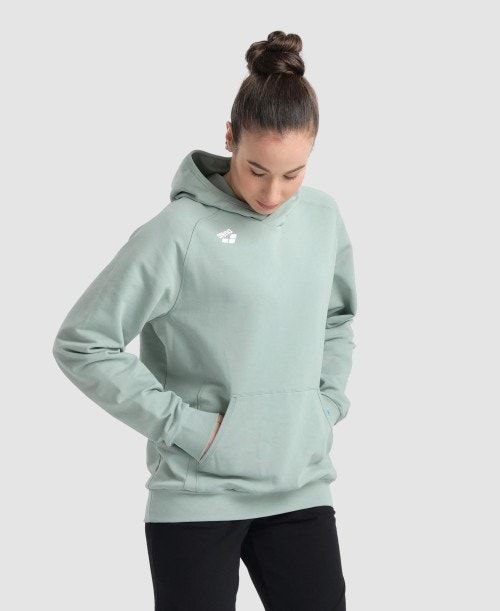 Arena Team Hooded Sweatshirt Panel Multicolor | CZUXHWK-13