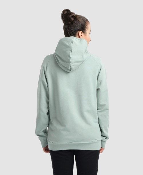 Arena Team Hooded Sweatshirt Panel Multicolor | CZUXHWK-13