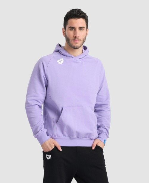 Arena Team Hooded Sweatshirt Panel Multicolor | CRBSJLX-78