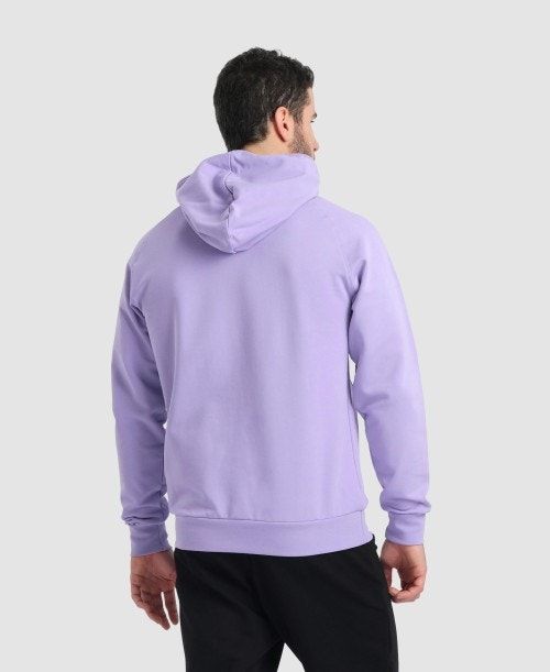 Arena Team Hooded Sweatshirt Panel Multicolor | CRBSJLX-78