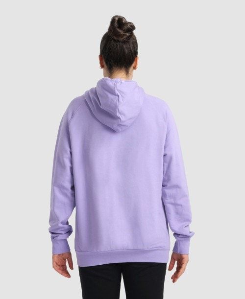 Arena Team Hooded Sweatshirt Panel Multicolor | CRBSJLX-78