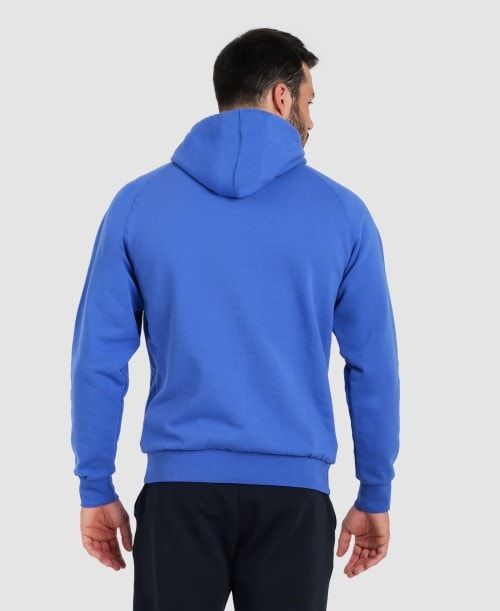 Arena Team Hooded Sweatshirt Panel Royal | XKFJPEN-01