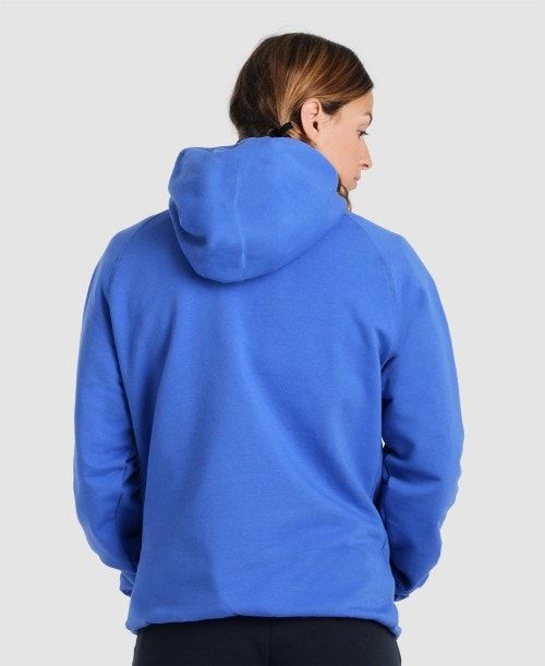 Arena Team Hooded Sweatshirt Panel Royal | XKFJPEN-01