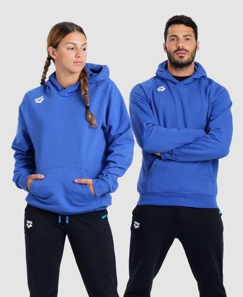 Arena Team Hooded Sweatshirt Panel Royal | XKFJPEN-01