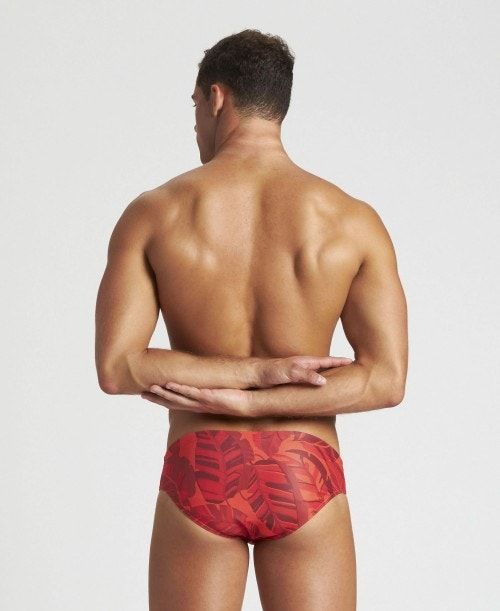 Arena Tropicals Brief Red / Red Multicolor | XFKDSAO-95