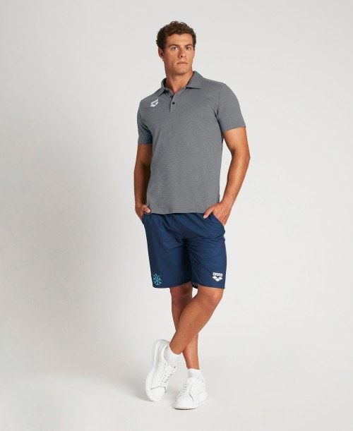 Arena Usa Tech Polo Grey | OFHDRJU-06